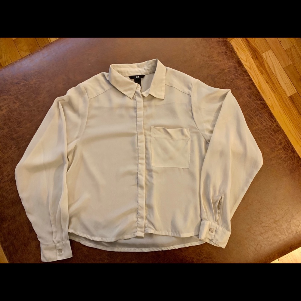 H&M sheer crop blouse